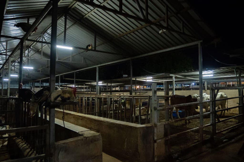 Farm House Solar + Storage image 5